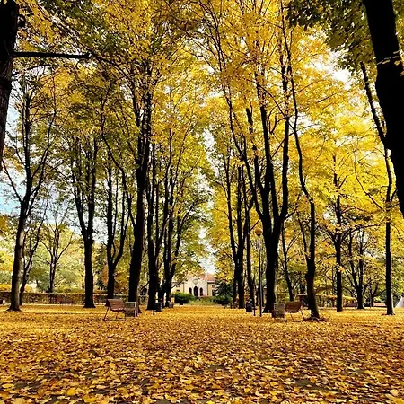 شقة Royal Lazienki. Beautiful By The Park. *